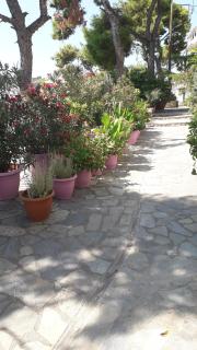 Pension Galazios Kolpos - Patitiri - 3