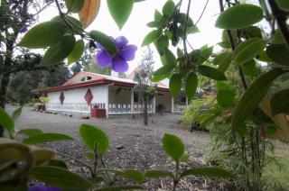 Lokahi Lodge - Volcano - 5