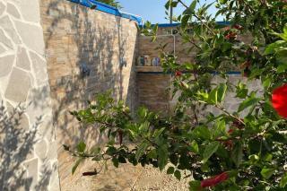 Villa Palma a 80m dal mare - 4