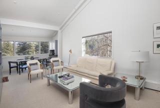 Lionshead Center #304 condo - Vail - 5