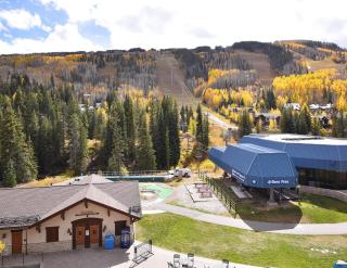 Lionshead Center #101 condo - Vail - 9