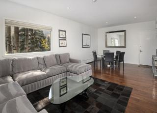 Lionshead Center #101 condo - Vail - 5