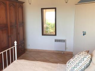 Les tortues vue mer - 6