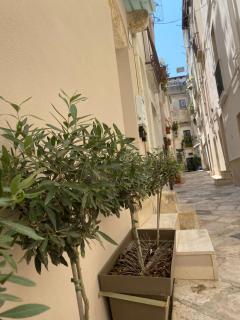 B&B Bianca Lancia - Altamura - 2
