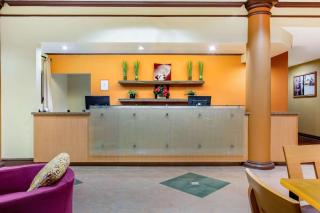 La Quinta by Wyndham Raleigh Crabtree - Raleigh - 5