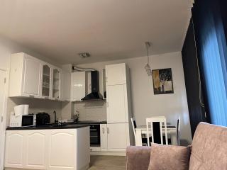 Royal Residence Apartmani - Pančevo - 6