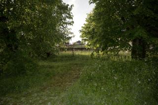 La Légende - Les Bois - 3