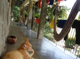 Casa Nova - Puerto Colombia - 5