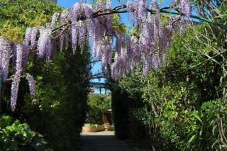 B&B Sa Meri 'e Domu Casale Di Charme - Sìnnai - 2