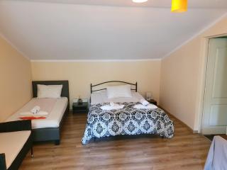 Pension Agnes - Vişeu de Sus - 8