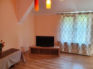 Pension Agnes - Vişeu de Sus - 7