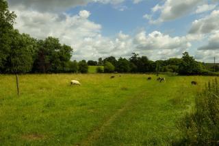 The Barn, Stourton - Sutton under Brailes - 3