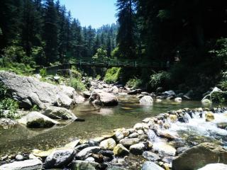 The Himalayan Heaven - Jibhi - 1
