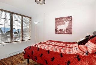 Chalets Alpins - 54 Chemin des Skieurs - Stoneham - 1