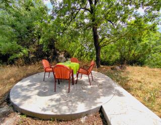 Celtis Shade House - Virpazar - 4