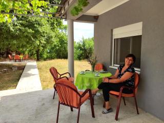 Celtis Shade House - Virpazar - 6