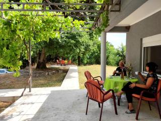 Celtis Shade House - Virpazar - 7