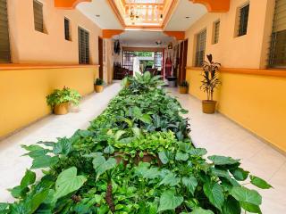 Hotel Isla Esmeralda - Cozumel - 2