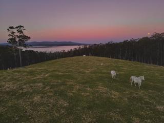 Farm Stay & Iconic Water Views - 32 Zachary Drive - Mallacoota - 8