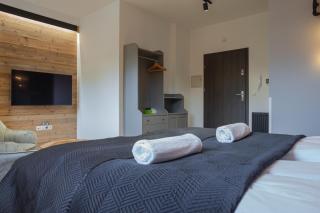Apartament City Center Modern Loft 2 - bezpłatny parking - Krynica-Zdrój - 8