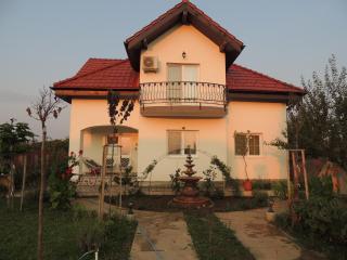 Blue Sky House - Baloteşti - 7