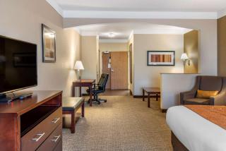 Comfort Suites Linn County Fairground and Expo - Albany - 3