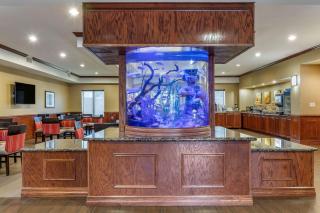 Comfort Suites Near Texas A&M - Corpus Christi - 8