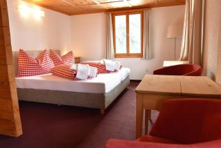 The Alpina Mountain Resort - Tschiertschen - 1