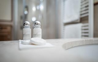 Vier Jahreszeiten Wellnessresort Achensee - Maurach - 5