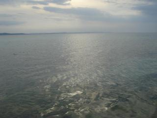 Apartments Ivanka - 2