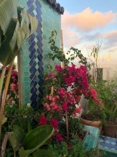 Riad Marhaba - Rabat - 2
