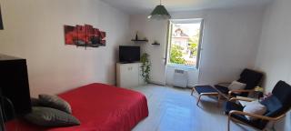 Appartement avec jardin à Colmar - Colmar - 5