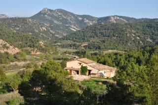 B&B Casa Rural Mas de las Tapias - Valderrobres - 0