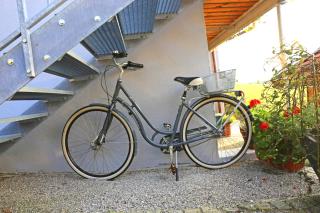 Ferienwohnungen Mittermayer - 6