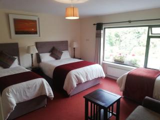 O'Sheas Ceol Na Habhann B&B - Kenmare - 5