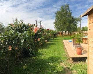 COTTAGE SAINTE GENEVIEVE - Champigny-sur-Veude - 1
