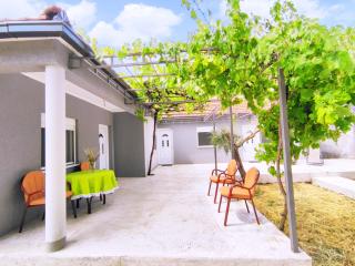 Celtis Shade House - Virpazar - 9