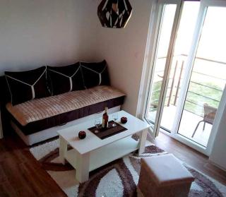 Apartman RADOVIĆ - Vrnjačka Banja - 0