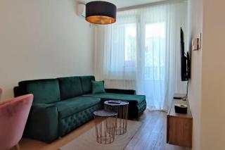 SNP city center lux - Novi Sad - 8