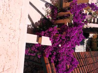 Makris Apartments - Roda - 9