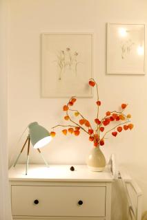 Jasmine Serenity Apartment - Central, behind Black Church - Braşov - 1