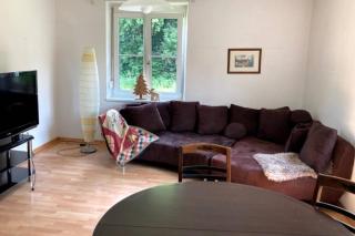 Cozy Condo close to town, castle, lake and hiking - Wolfsberg - 9