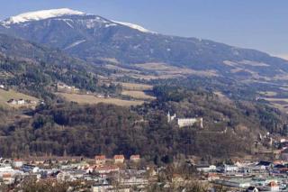 Cozy Condo close to town, castle, lake and hiking - Wolfsberg - 6