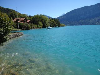 Dorner Rustic Chalet - Gsteigwiler - 9