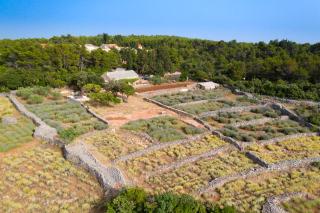 Villa Humac Hvar - 0