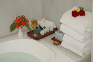 The Meadows Resort and Spa - Aurangabad - 1