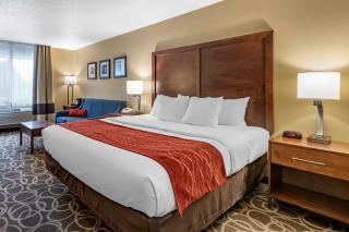 Comfort Inn Dyersville Near the Field of Dreams - Dyersville - 8