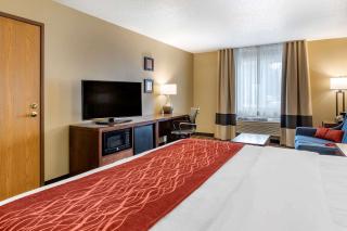 Comfort Inn Dyersville Near the Field of Dreams - Dyersville - 7