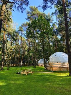 Planeta Glamping - Zalesie Górne - 2