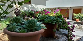 Apartments Kapetanovina - Mostar - 7